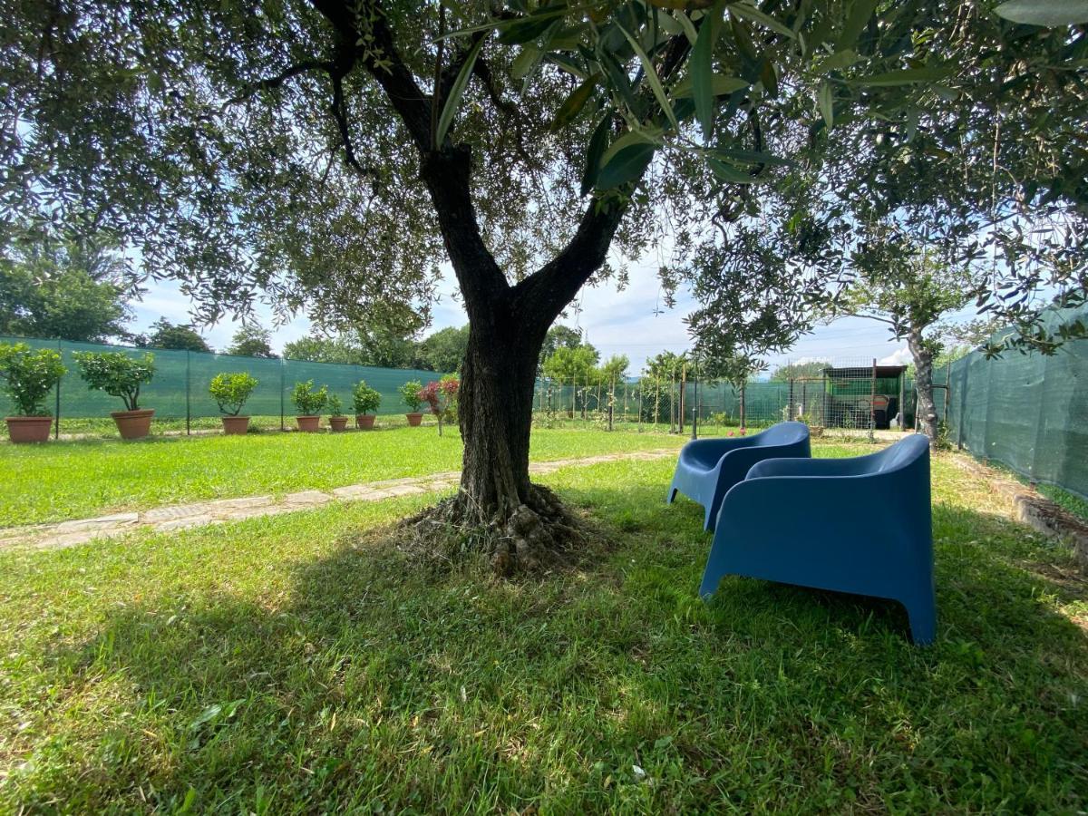 Casa Marcobando Villa ลุคคา ภายนอก รูปภาพ