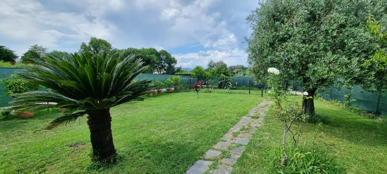 Casa Marcobando Villa ลุคคา ภายนอก รูปภาพ