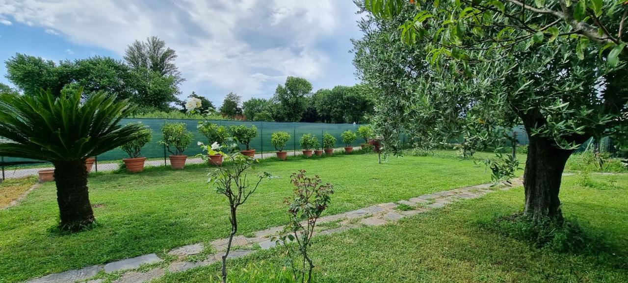 Casa Marcobando Villa ลุคคา ภายนอก รูปภาพ